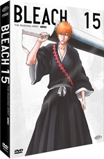 Bleach (First Press)